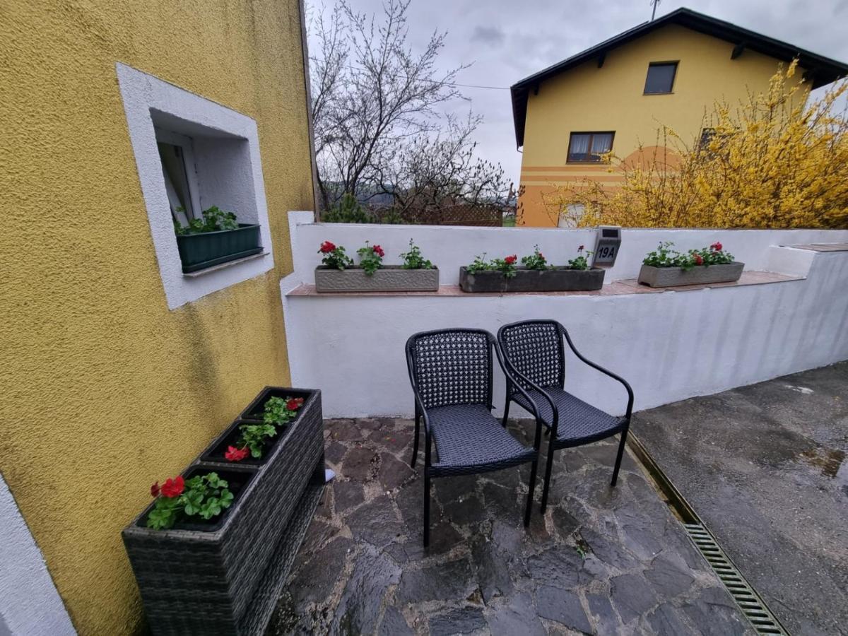Pension Donaublick Grein 2 In Stifterstrasse 19A Εξωτερικό φωτογραφία