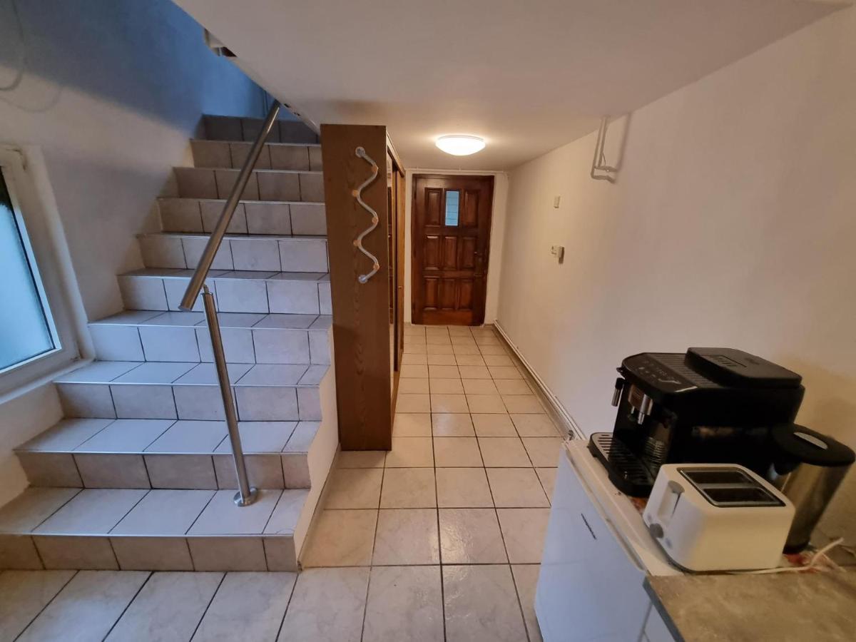 Pension Donaublick Grein 2 In Stifterstrasse 19A Εξωτερικό φωτογραφία