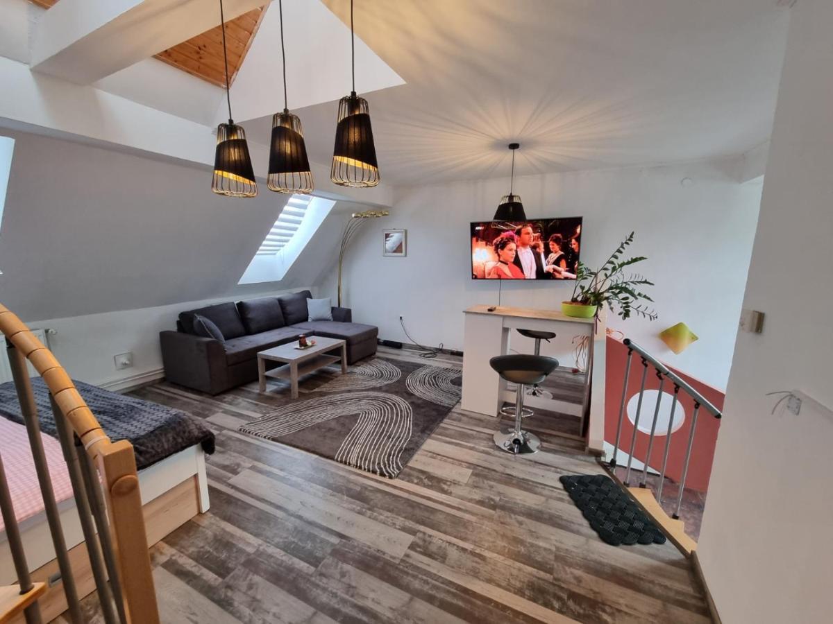 Pension Donaublick Grein 2 In Stifterstrasse 19A Εξωτερικό φωτογραφία