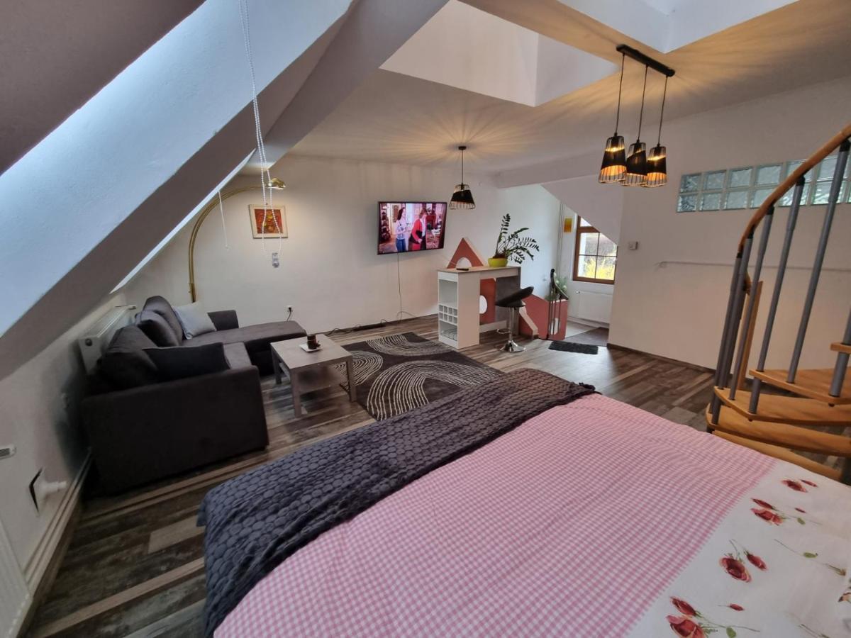 Pension Donaublick Grein 2 In Stifterstrasse 19A Εξωτερικό φωτογραφία