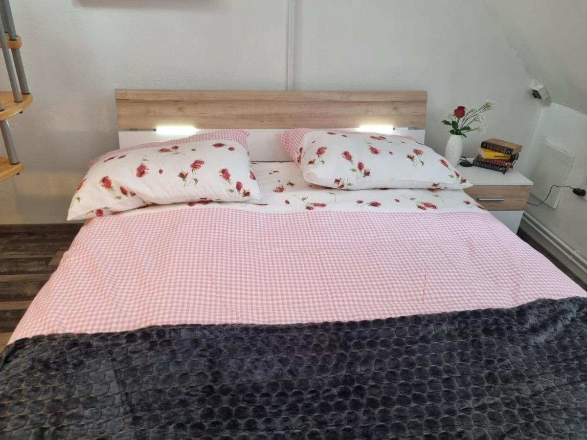 Pension Donaublick Grein 2 In Stifterstrasse 19A Εξωτερικό φωτογραφία
