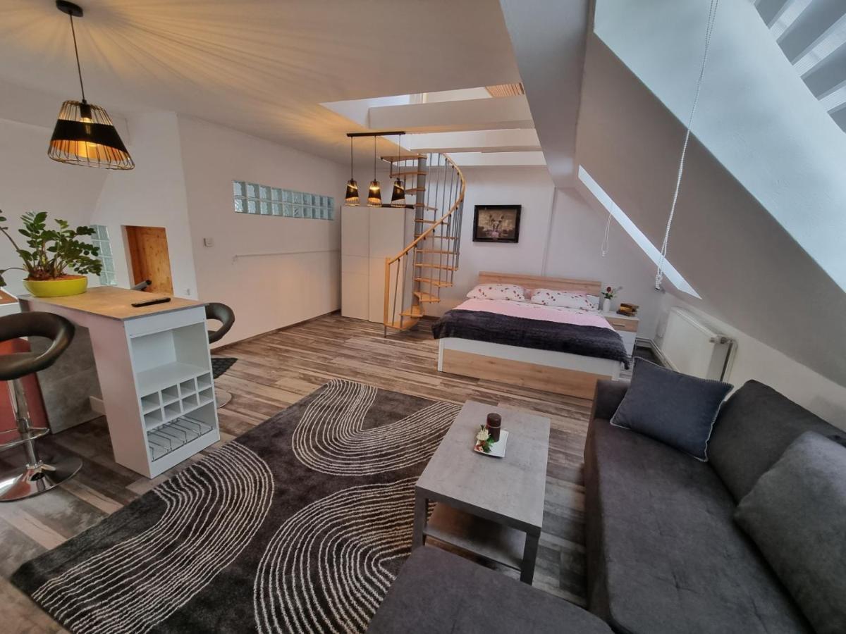 Pension Donaublick Grein 2 In Stifterstrasse 19A Εξωτερικό φωτογραφία