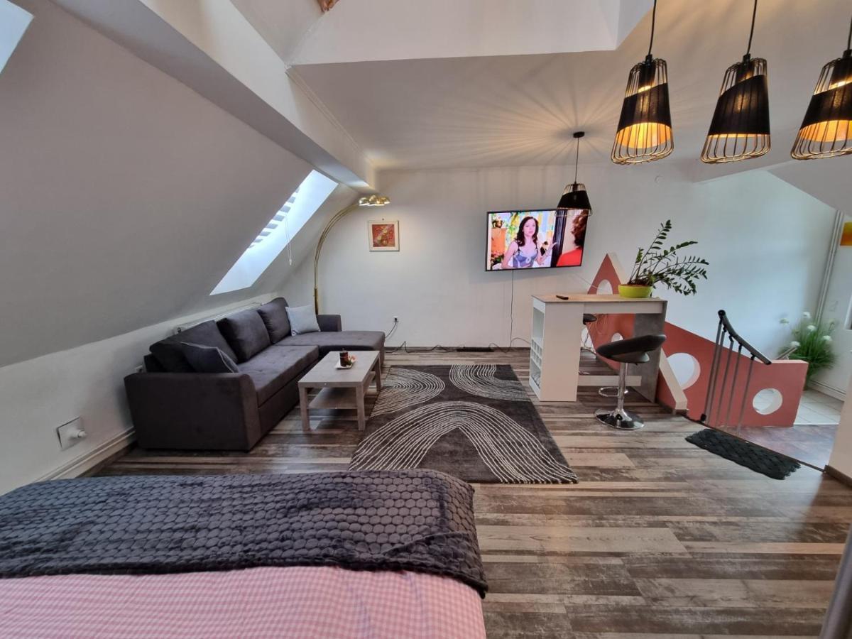 Pension Donaublick Grein 2 In Stifterstrasse 19A Εξωτερικό φωτογραφία