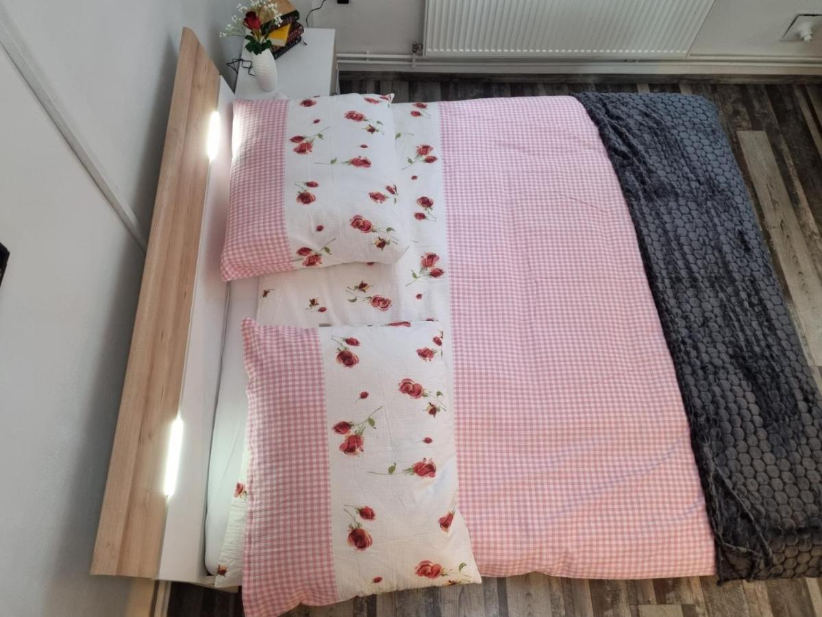 Pension Donaublick Grein 2 In Stifterstrasse 19A Εξωτερικό φωτογραφία