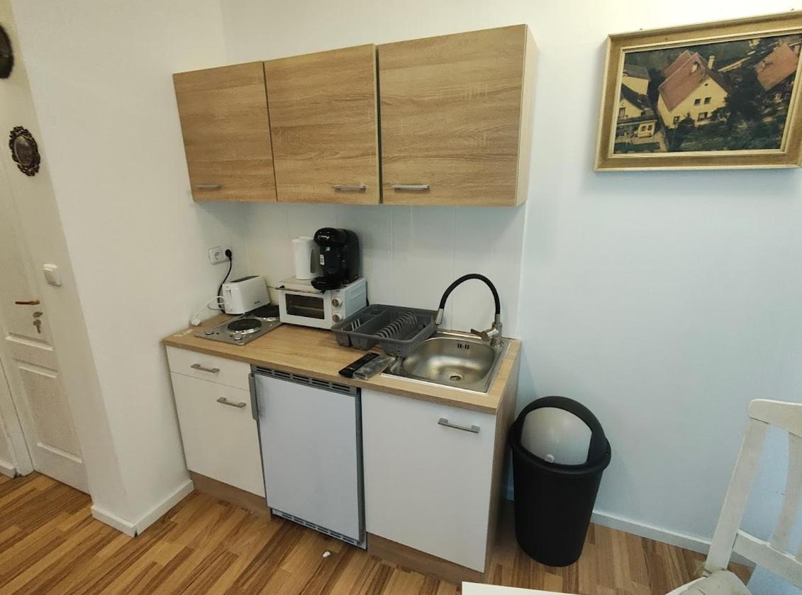 Pension Donaublick Grein 2 In Stifterstrasse 19A Εξωτερικό φωτογραφία